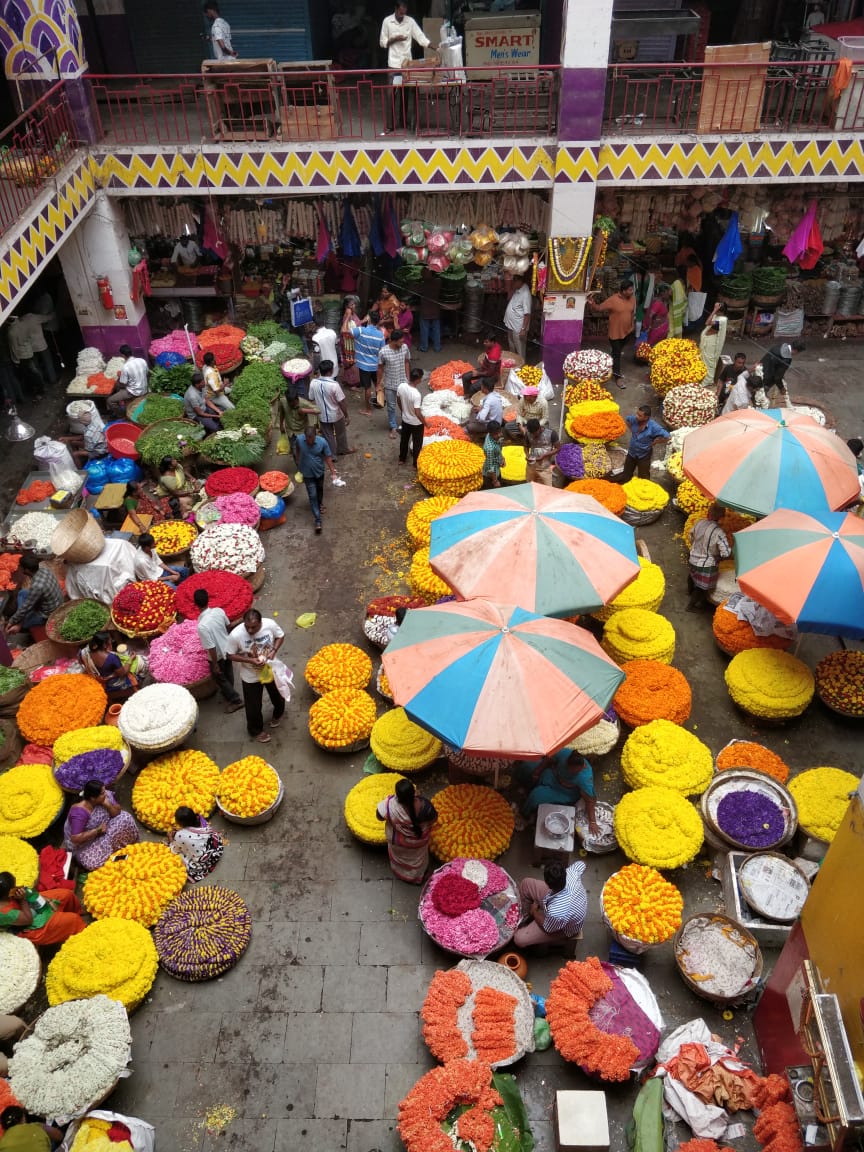 3FA51A03-ABD8-4476-8D8B-804789B28FD7