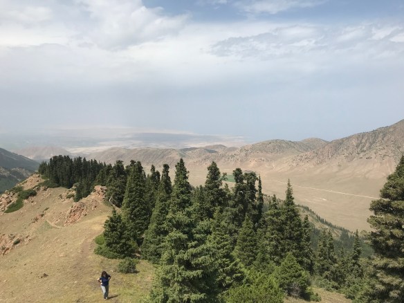 70C45FE4-A6FE-4187-AB72-172D787A0F2B