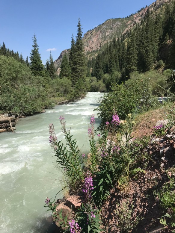 BA260EBB-1746-4C21-9890-ED774C556EBE