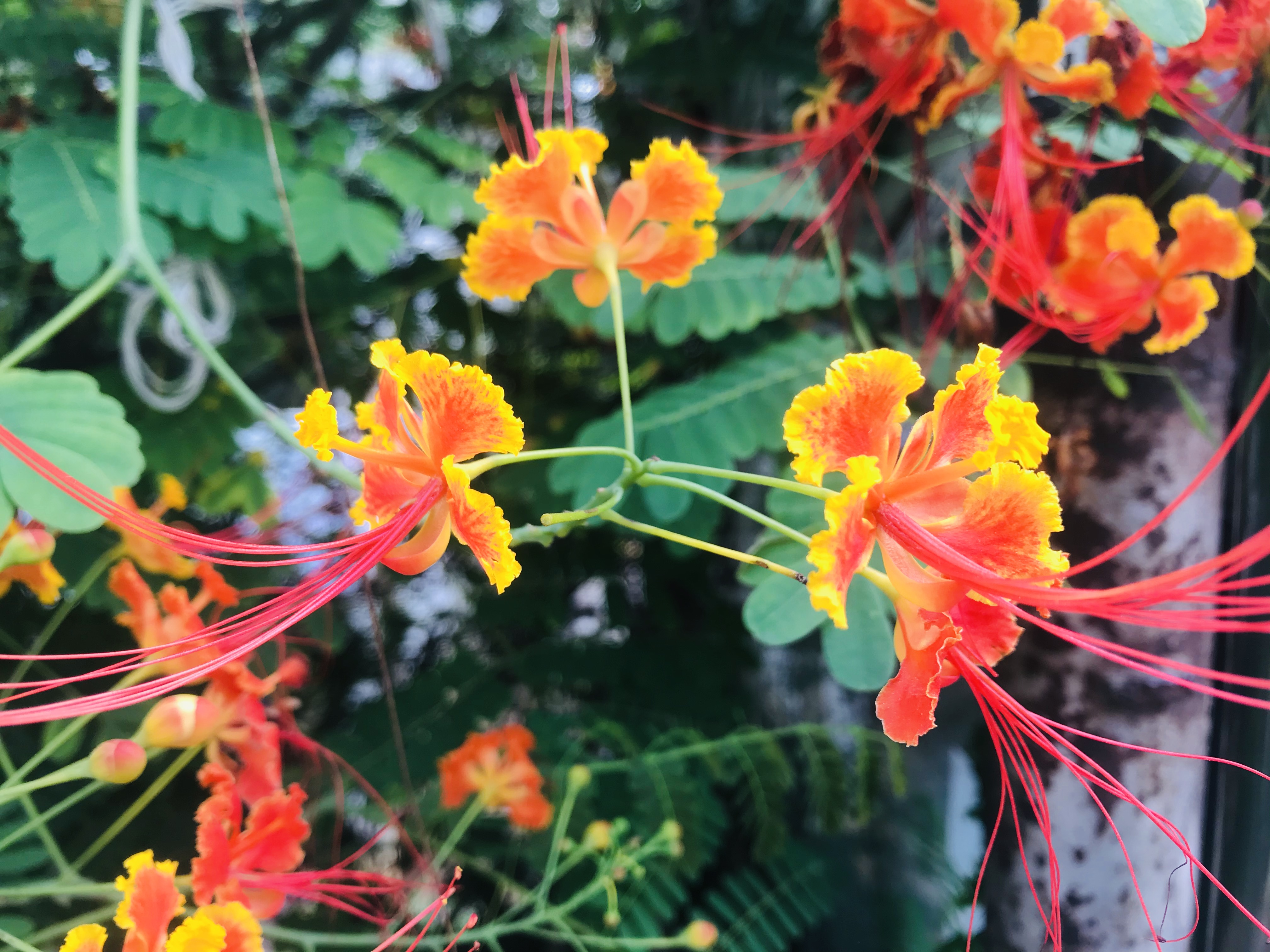 41A086CC-203F-4241-BE8B-6BD54776C60D