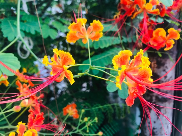 41A086CC-203F-4241-BE8B-6BD54776C60D