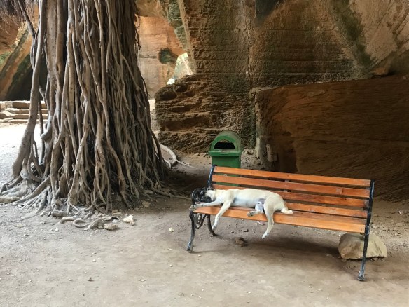 4C45FED3-0A4D-404B-B500-E317500908EE