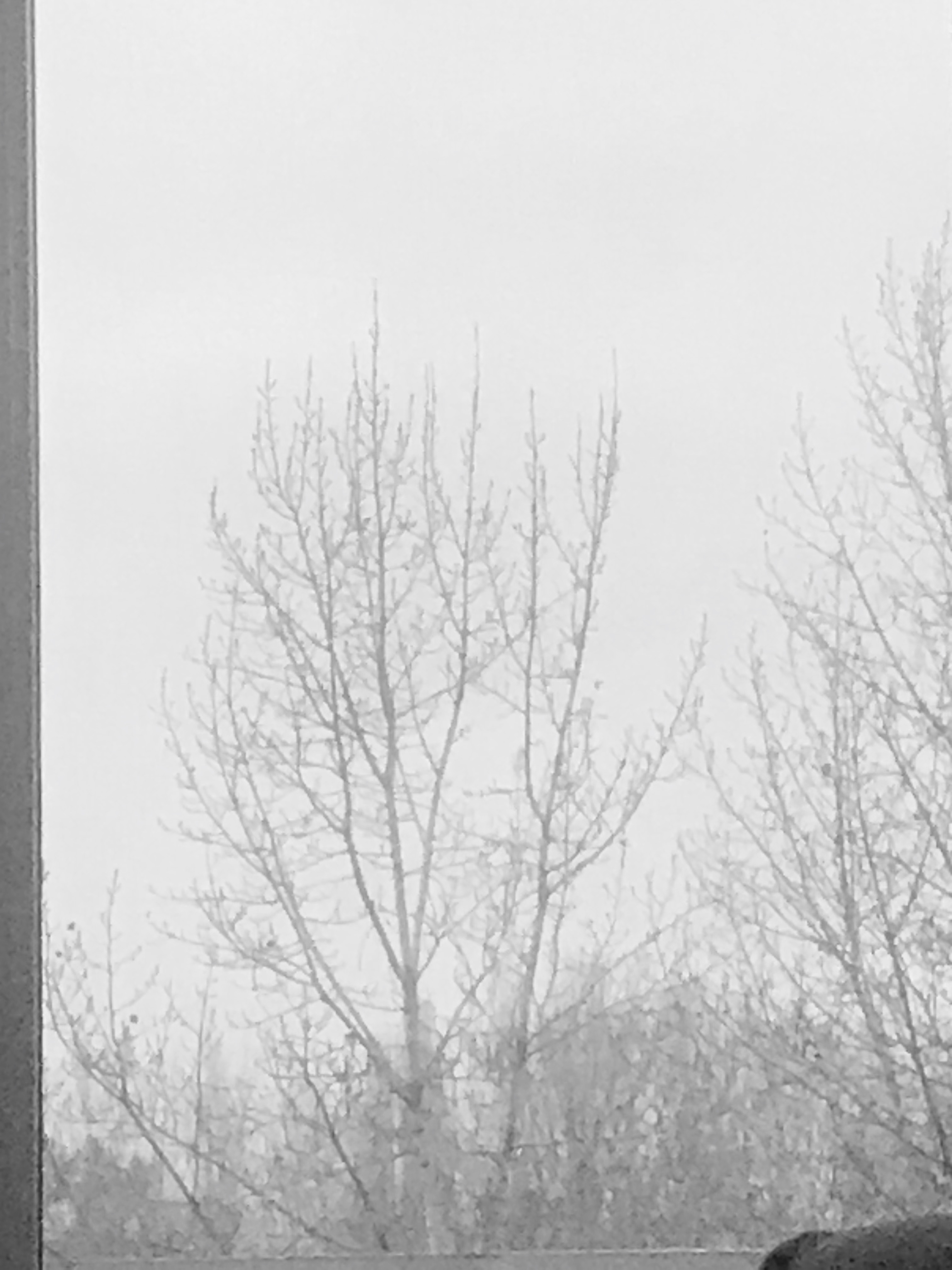 6DF65E42-2CB1-4004-8B34-16BF33C762FA