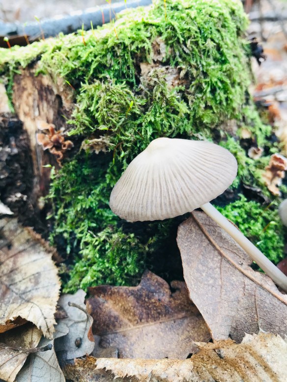 E6AEC4A6-B0AF-434A-892A-BA1D899C058A