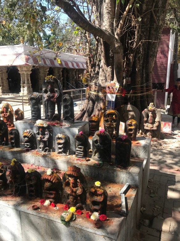 8E52901C-EC1F-48B6-B473-98143E6C82C2