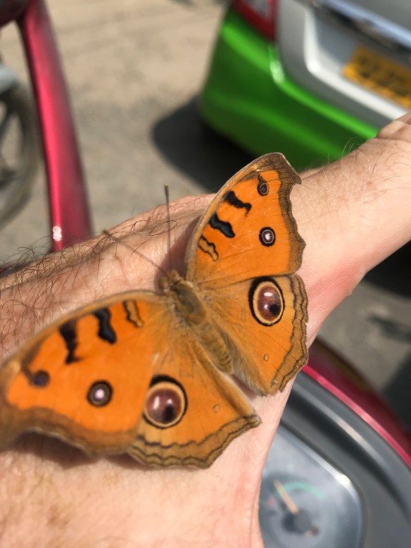 92E412E8-40A6-43FF-BFD1-112CDBB03CB2