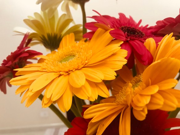 EB1A5612-C93C-4B80-8B4B-974E3C731E8A