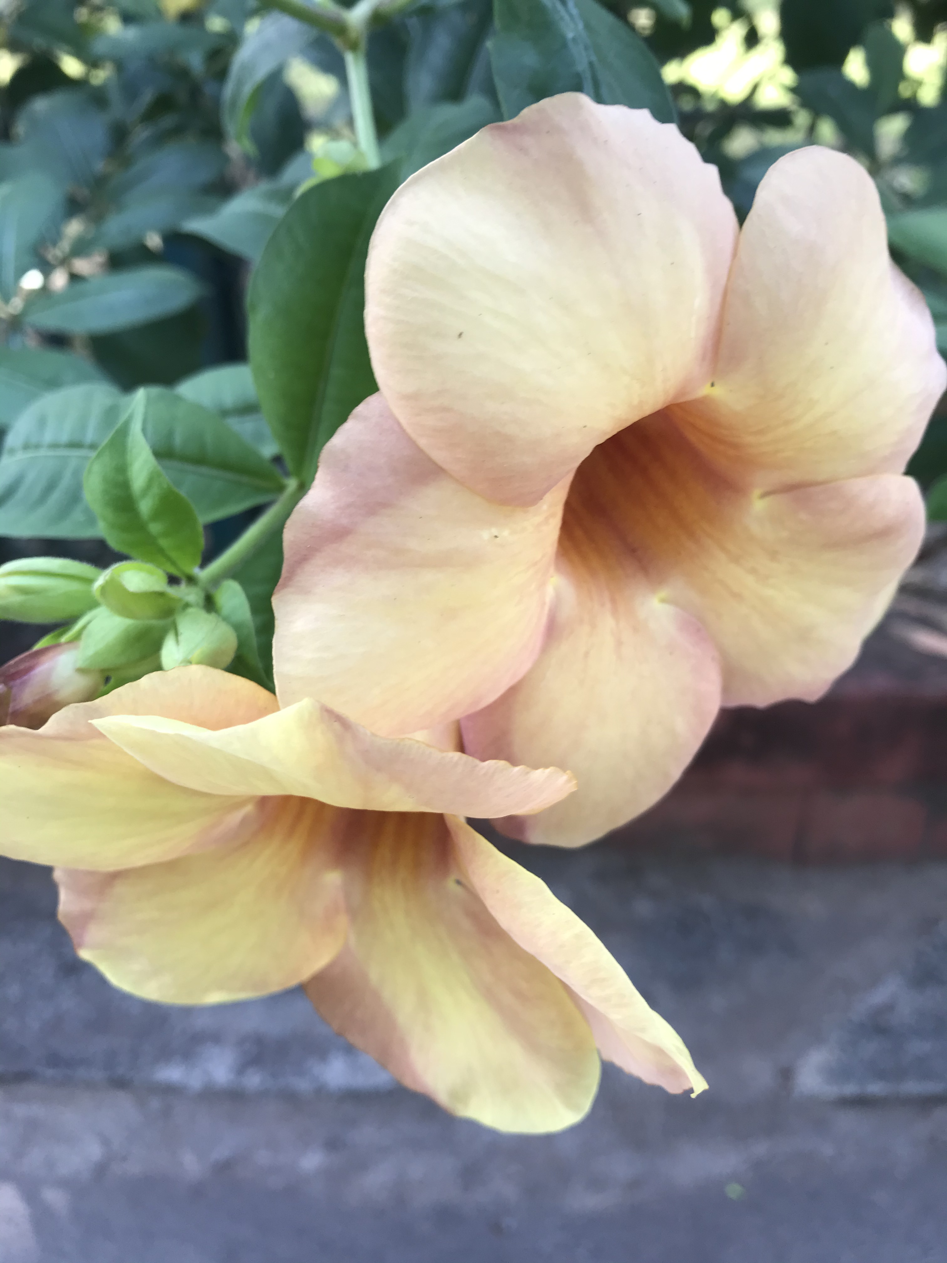 0B3FB473-B790-4052-BB81-6F4A66D6BDC8