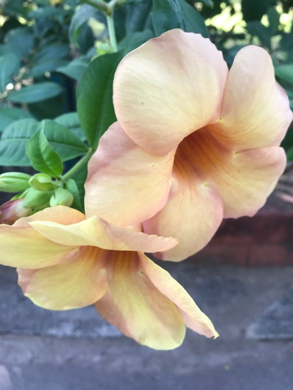 0B3FB473-B790-4052-BB81-6F4A66D6BDC8