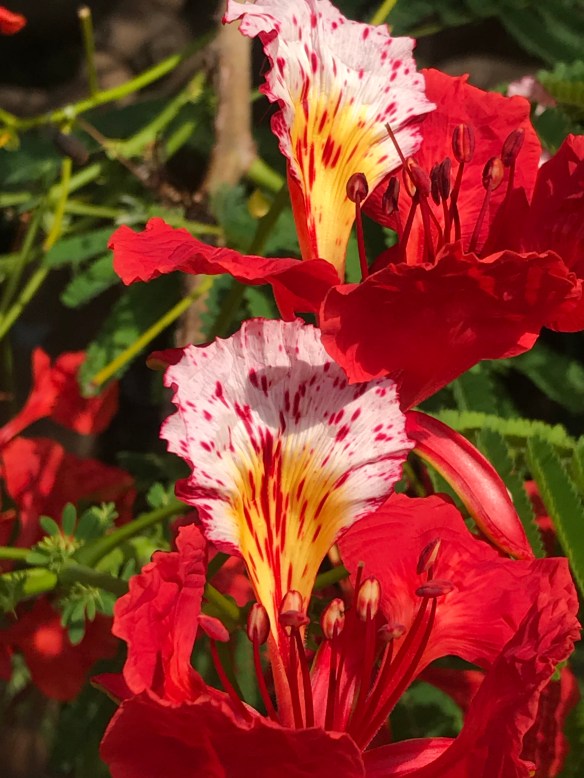 562909AE-B663-4571-A245-2CCFE9E9DF5D