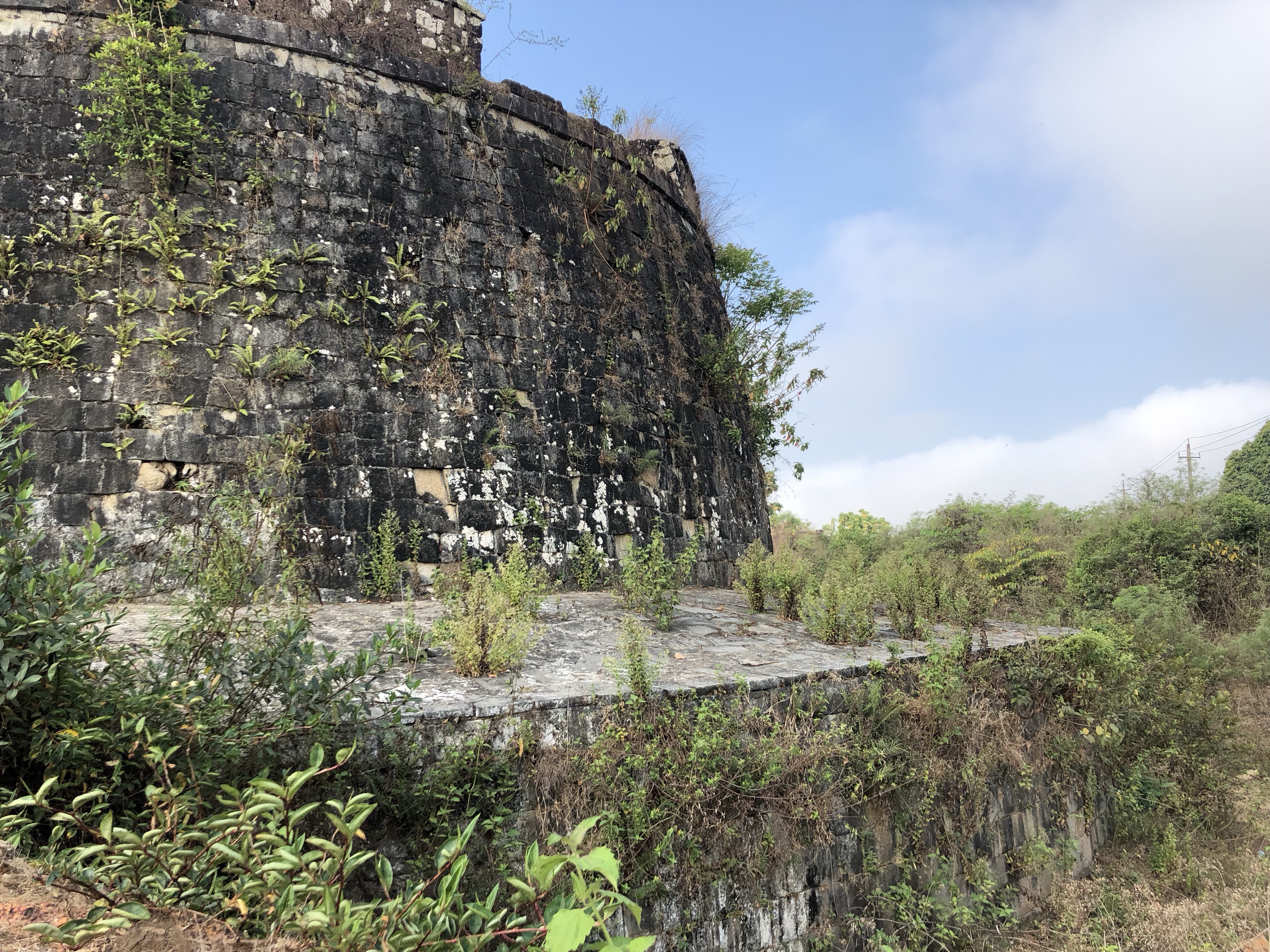 Sagara Fort DAILY PHOTO: Overgrown Fortification, Nagara Fort | Tiger Riding for ...