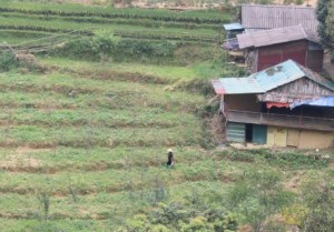 Taken near Cat Cat Village (Cat Cat Ban) outside Sa Pa, Vietnam. Farmer on a fallow rice terrace.