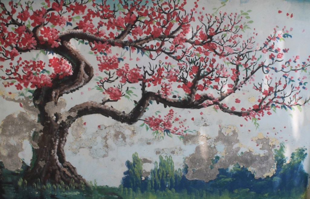 A cherry blossom mural on a wall near Hồ Tây (West Lake) in Hanoi, Vietnam.