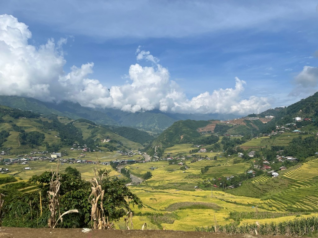 Muong Valley, near Sa Pa, in Northern Vietnam.