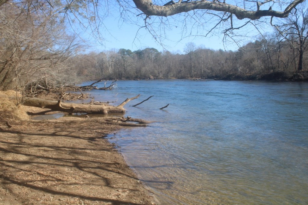 The Chattahoochee River from water's edge. Taken in Paces Mill Park.