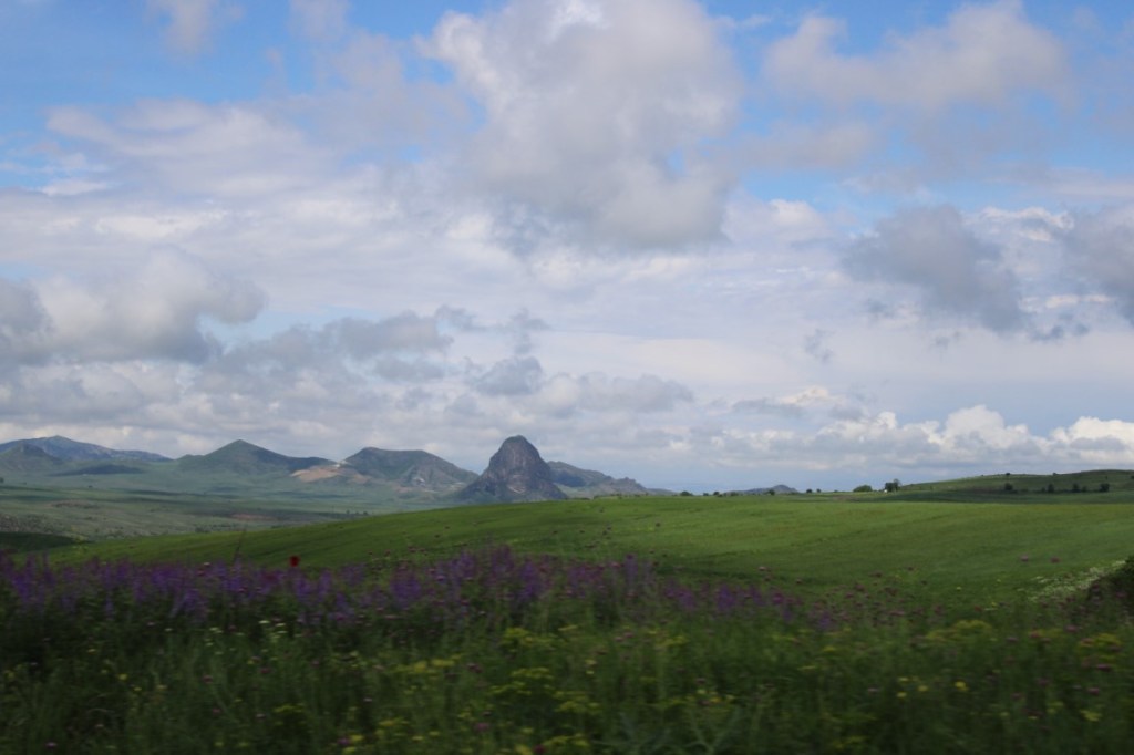 Photograph taken in northern Armenia. Purple flowers in the fore, mountains in the distant background, and partly cloudy skies.