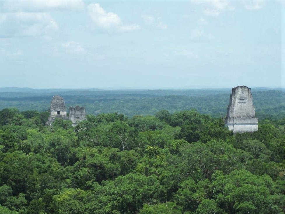 Photograph of the tops of Temples II, I, and III (left to right) from atop Temple IV at Tikal in Guatemala.