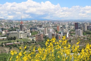 Photograph of Tbilisi, Georgia in the Spring with wildflowers in the fore and city as backdrop.