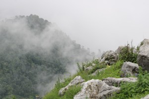 Photograph taken near George Everest Peak, outside of Mussoorie, India.