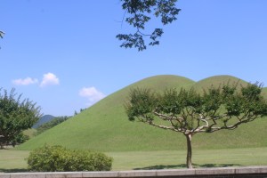 A photograph of gardens in the Daereungwon Tomb Complex in Gyeongju, South Korea.