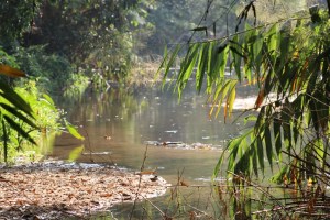 Photograph taken near the start of the Mae Yen Waterfall trek at Pai, Thailand. 