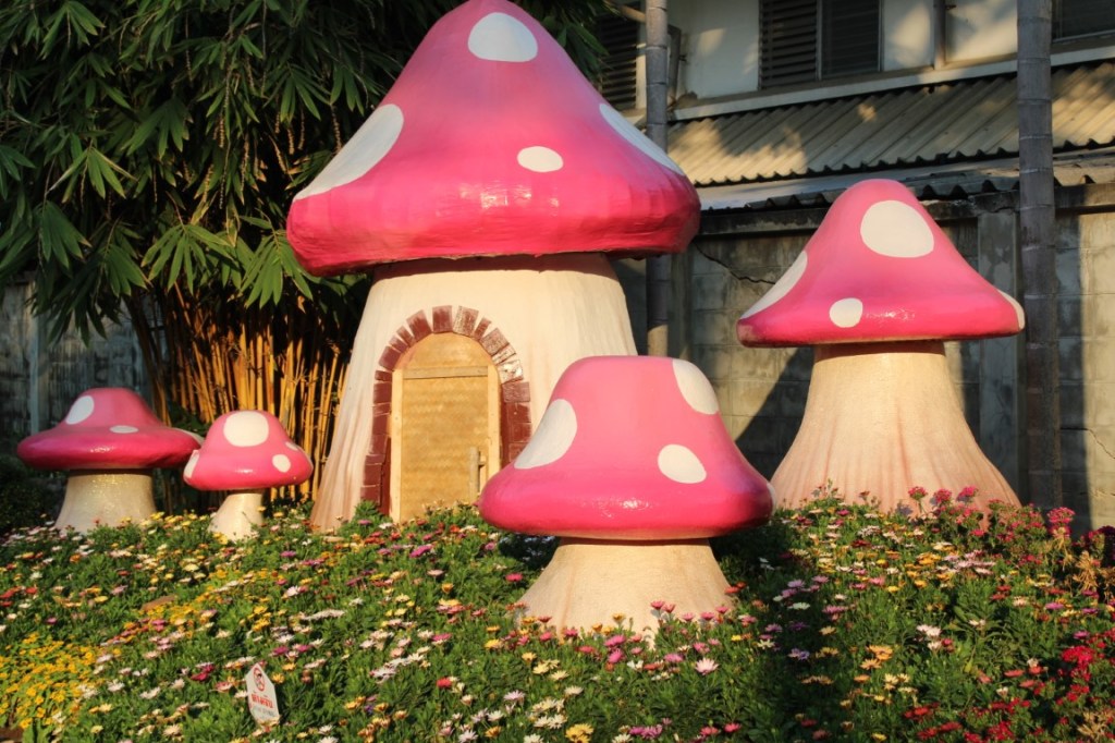 Photograph of a mushroom village taken in Chiang Mai at Buak Haad Park (สวนสาธารณะหนองบวกหาด) during the Flower Show.