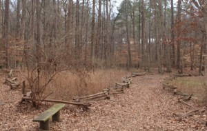 Photograph of Big Creek Trail in Roswell, Georgia.