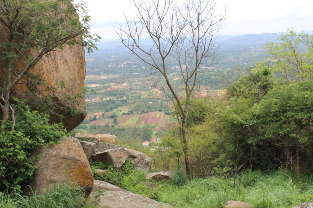 Photograph taken atop Uttari Betta in Karnataka, India with the farmland far below in the background.