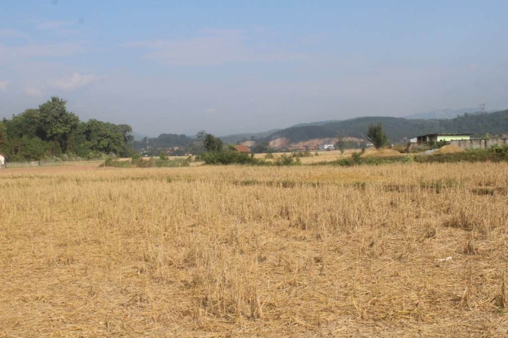 Photograph of farmland and mountains near Nam Dee, Luang Namtha, Laos.