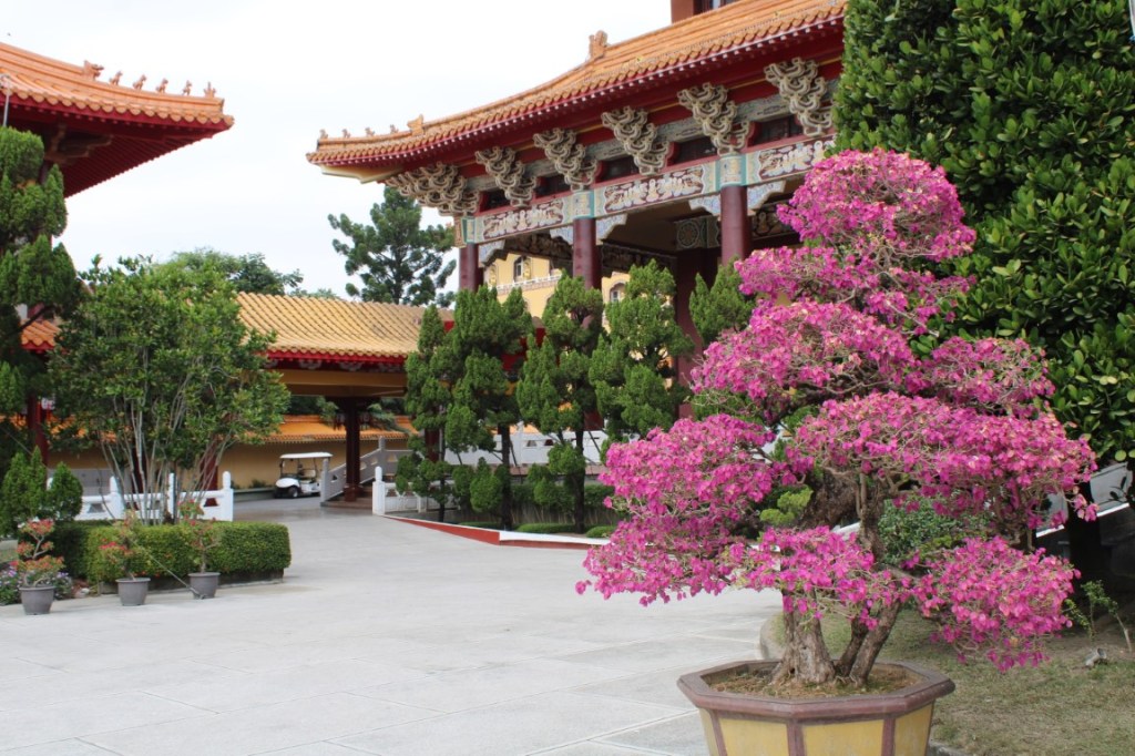 Photograph taken outside the Great Compassion Shrine of Fo Guang Shan outside of Kaohsiung, Taiwan, featuring  Bougainvillea.