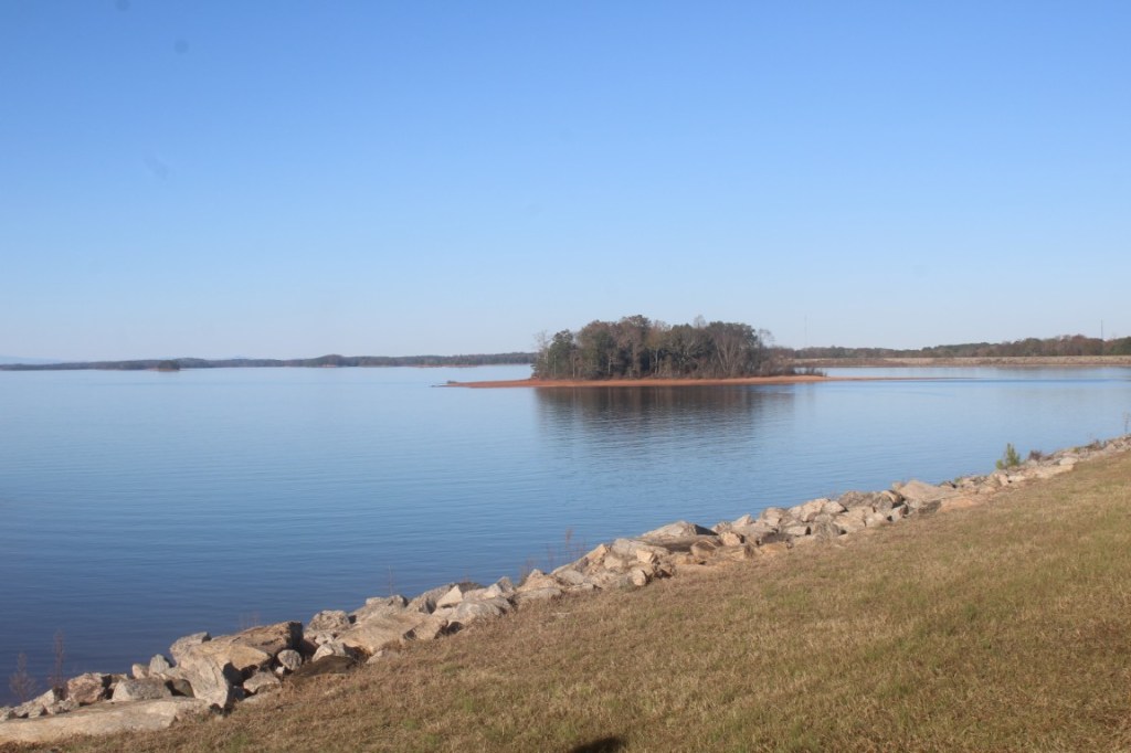 Photograph of a little Island in Lake Hartwell.