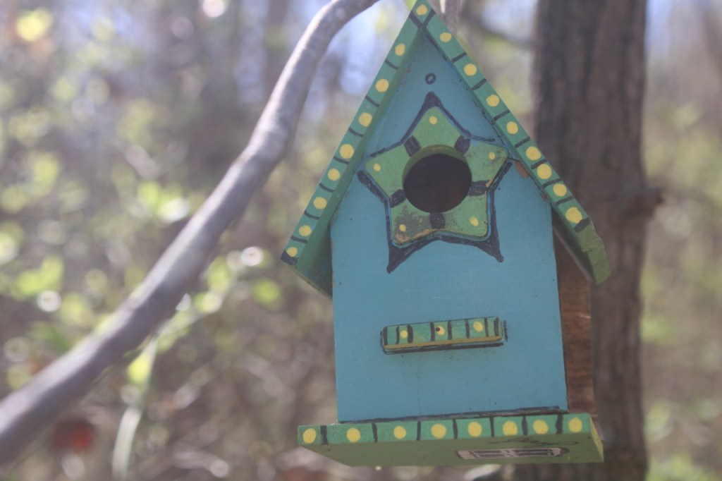 Photograph of a birdhouse on the Fairy Trail at Sawnee Mountain Park. 