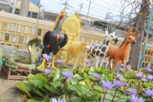 Photograph taken at Don Mueang Temple in the north Bangkok suburbs, features waterlilies in the fore and guardian statues in the background. 