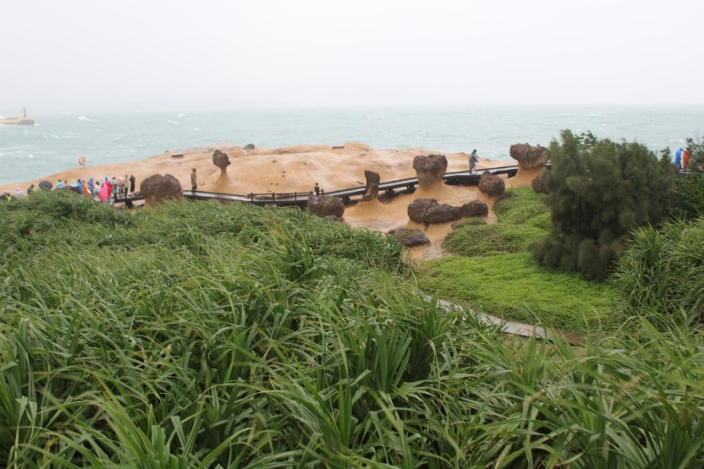 Photograph of greenery at the Yehliu Geopark in Northern Taiwan.
