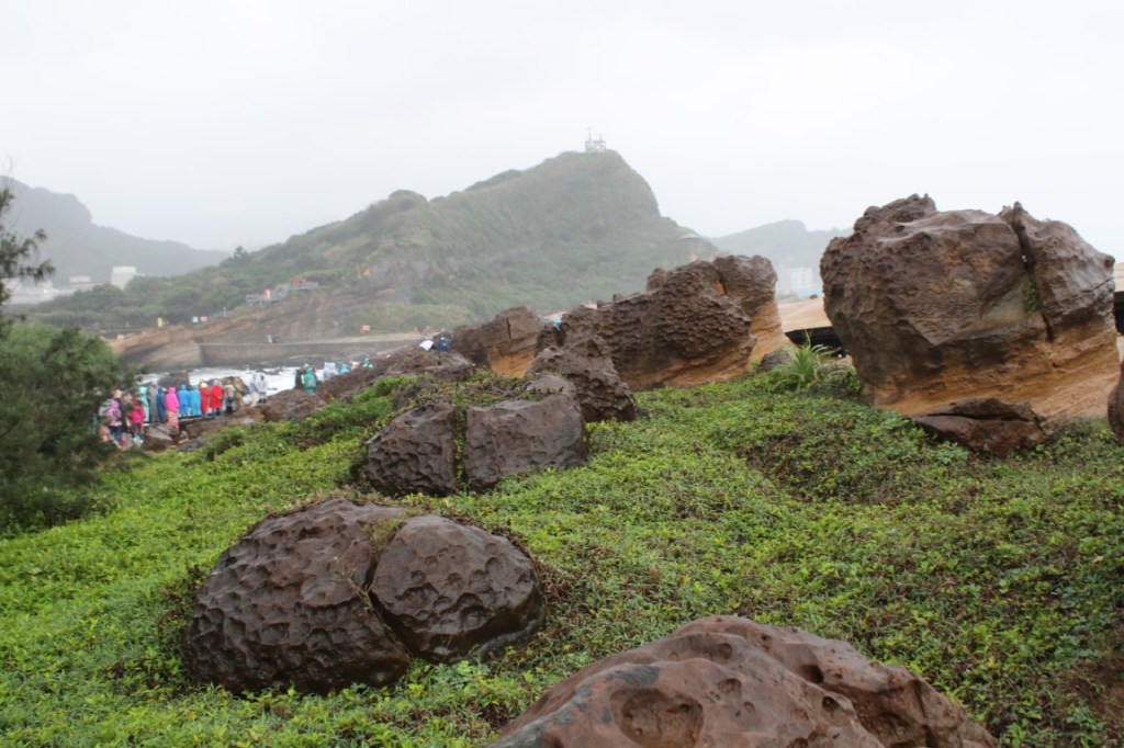 Photograph of rocky outcrops surrounded by green vegetation in the Yehliu Geopark.