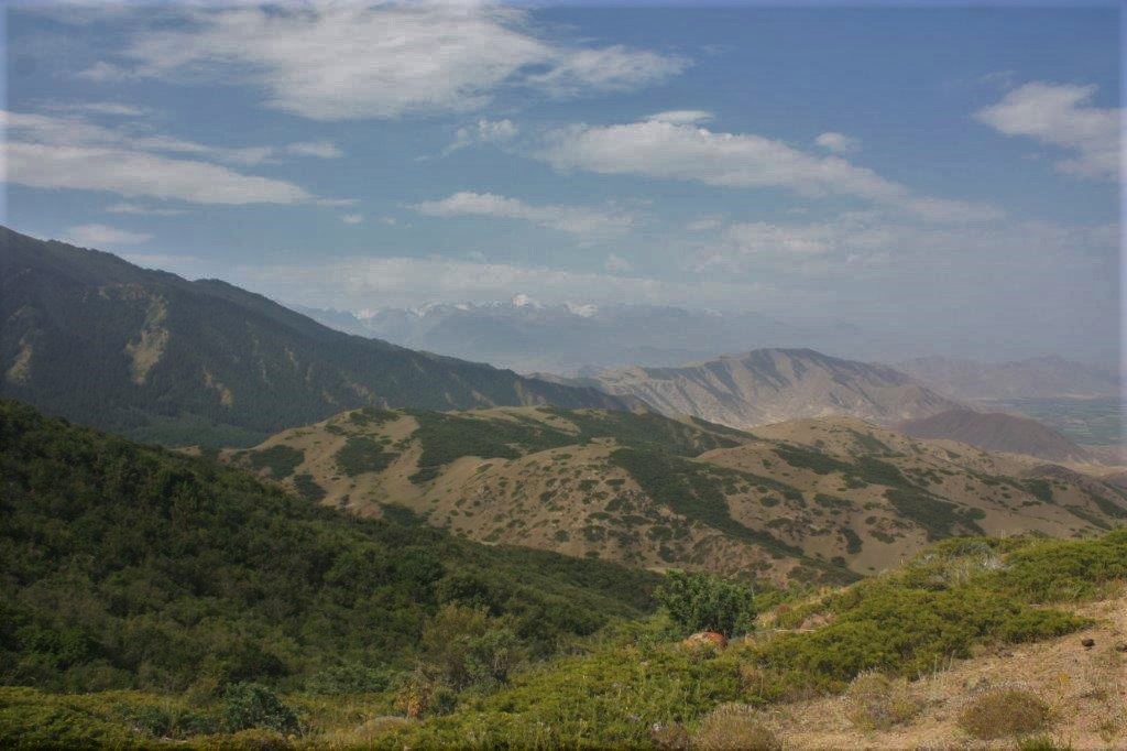 Photograph taken on the Boz-Salkyn trek, south of Issyk-Kul in Kyrgyzstan.