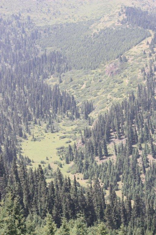 Photograph taken down the mountain at Boz-Salkyn, Kyrgyzstan.