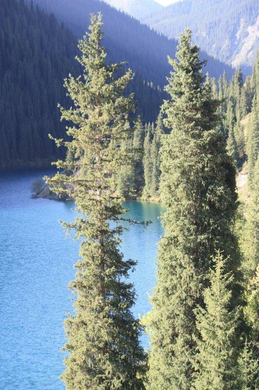 Photograph taken from a mountain trail around the Kolsay Lakes in Kazakhstan with tall evergreen trees in the fore and lake and valley in the rear.