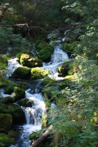 Photograph of a small cascade between and around mossy rocks taken on the Kolsay Lake hike in Kazakhstan.