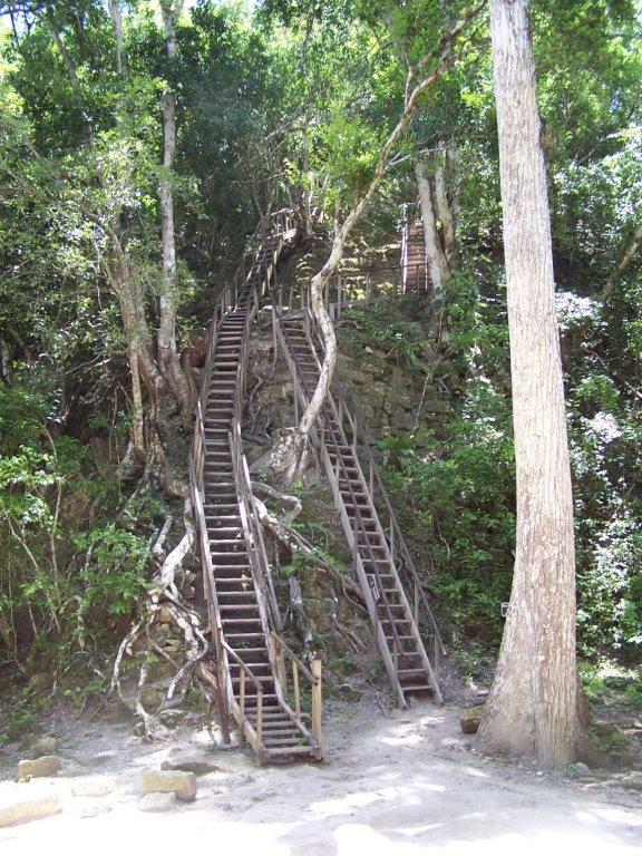 Photograph of the rickety steps up to the top of Temple IV at Tikal, Guatemala.