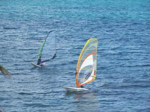 Photograph of windsurfers near San Pedro, Belize.