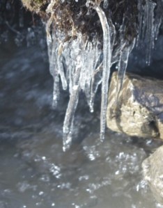 Photograph of icicles hanging over a creek on the last stretch into Annapurna Base Camp in Annapurna Sanctuary.