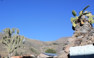 Photograph of cacti, blue sky, and mountains, taken near Huambo, Peru in the vicinity of Colca Canyon.
