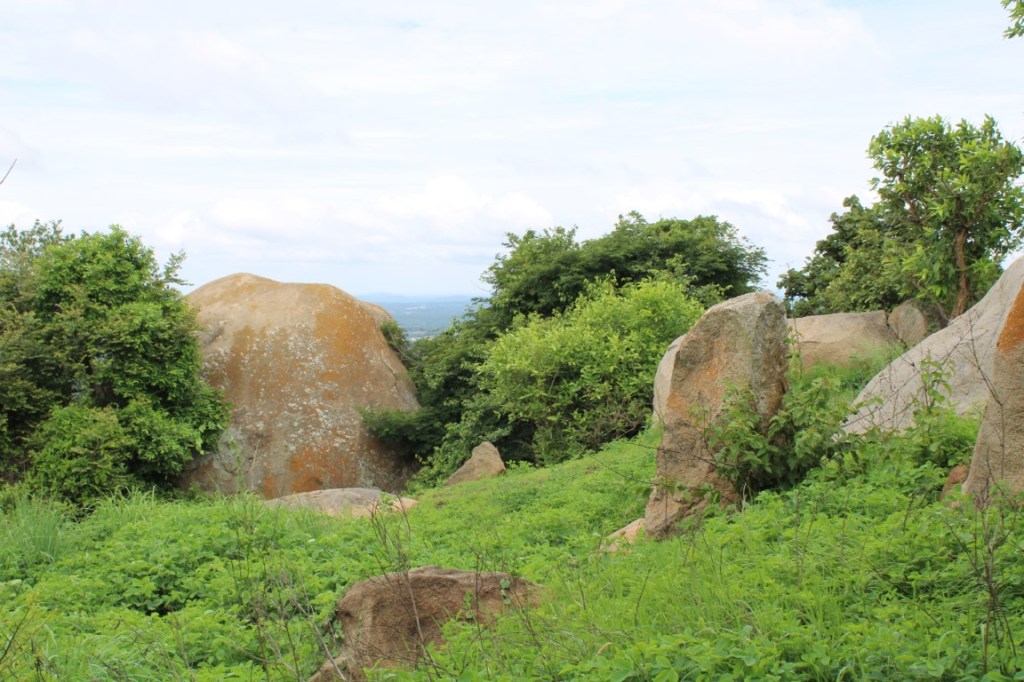 Photograph taken on top of Uttari Betta (Hutridurga) in Karnataka, India.