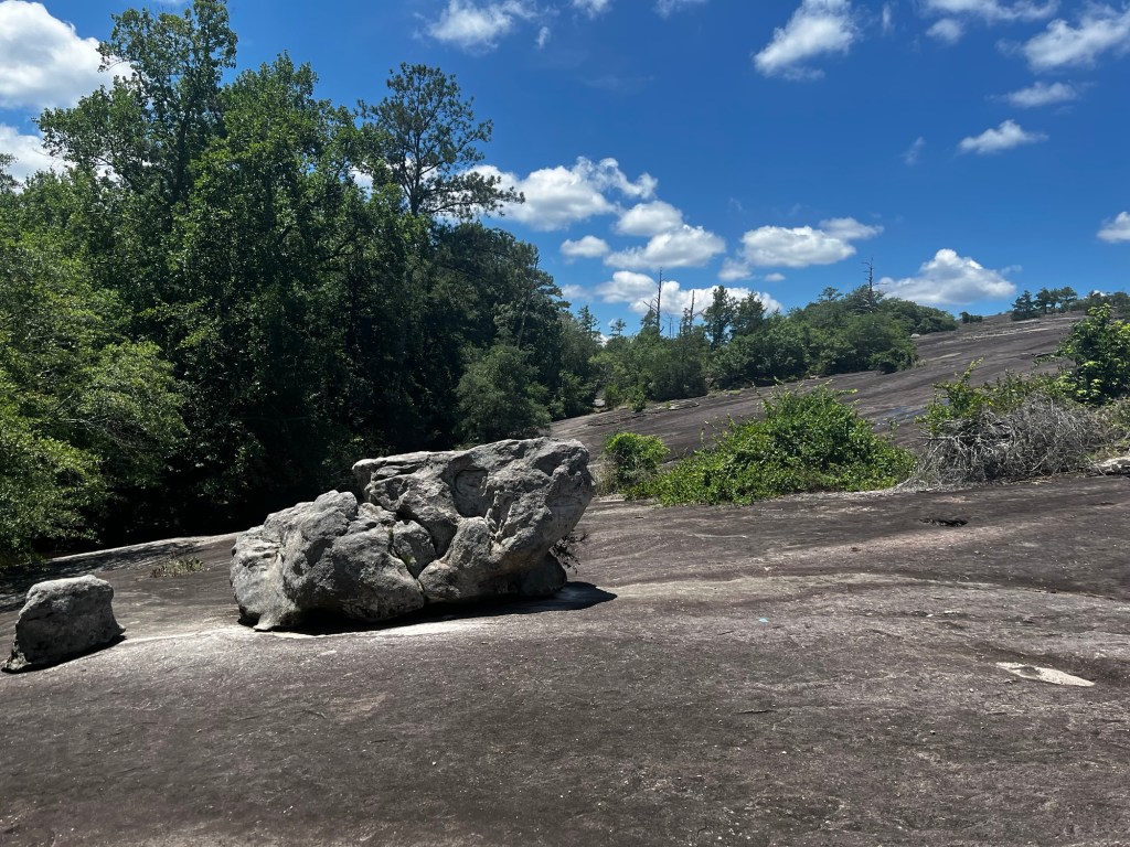 Photograph of a boulder on the slope of Arabia Mountain in Stonecrest, Georgia.