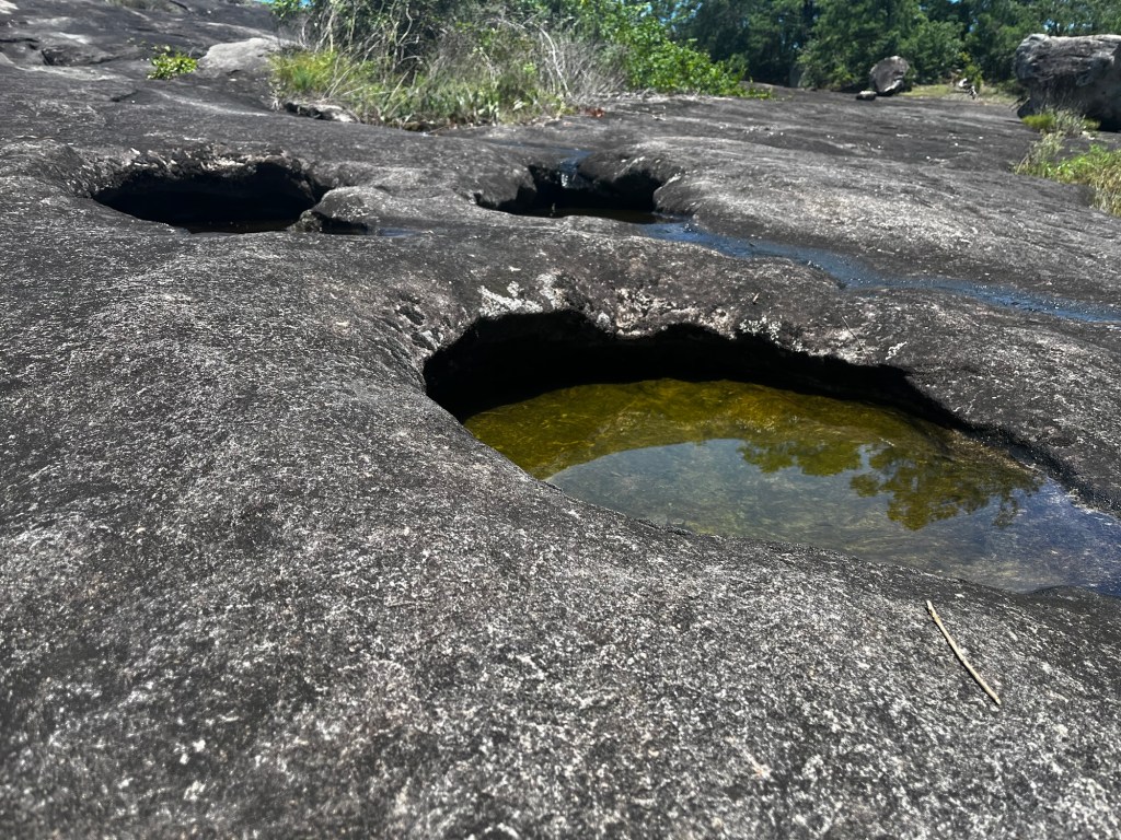Photograph of pools in the granite at Arabia Mountain Park in Stonecrest, DeKalb County, Georgia.