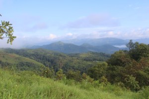 Photograph of greens hills taken from the Netravati Peak Trek in Karnataka, India 