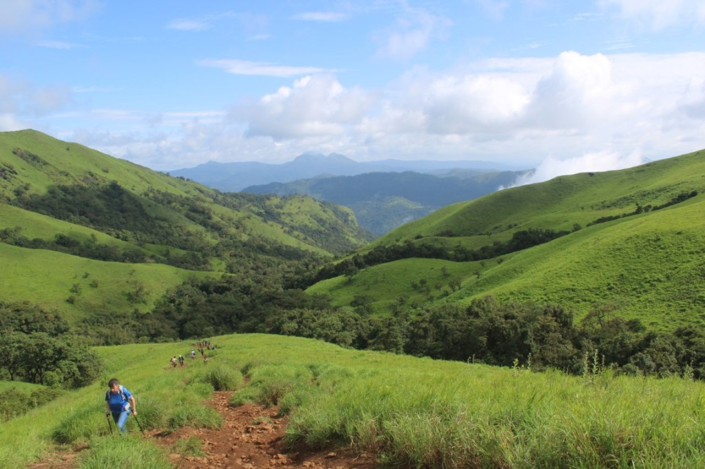 Photograph of green hills in the Western Ghats taken near the Netravati Peak in Karnataka, India.