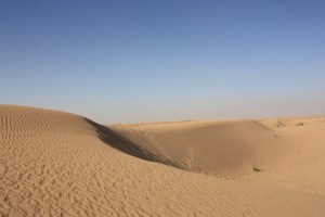 Photograph taken in the desert outside of Dubai in the United Arab Emirates.