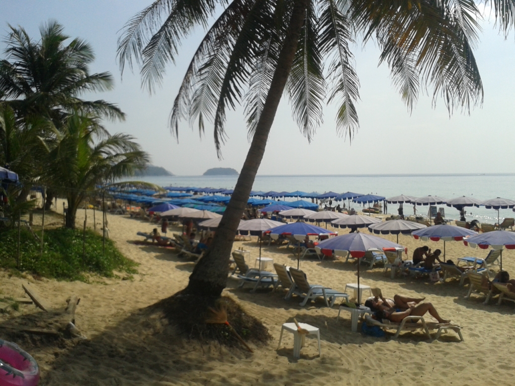 Photograph of a palm tree and beach umbrellas at Karon Beach of Phuket, Thailand.